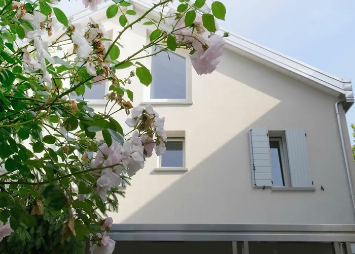 Apartment Eco *